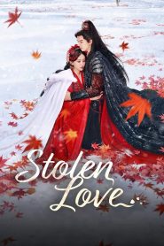 Stolen Love (2025)