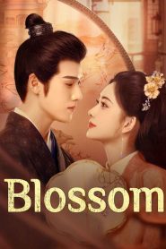 Blossom (2024)